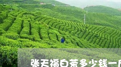 张天福白茶多少钱一斤/2023093009470