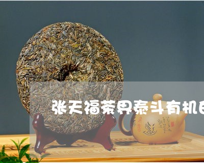 张天福茶界泰斗有机白茶/2023102594950