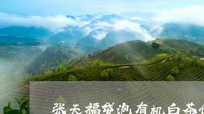 张天福袋泡有机白茶价格/2023102562724