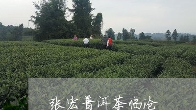 张宏普洱茶临沧/2023112658303