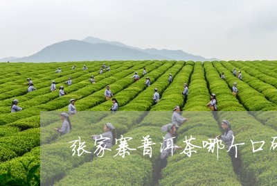 张家寨普洱茶哪个口碑好/2023110160625