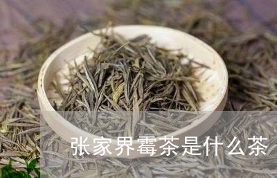 张家界霉茶是什么茶/2023042198572