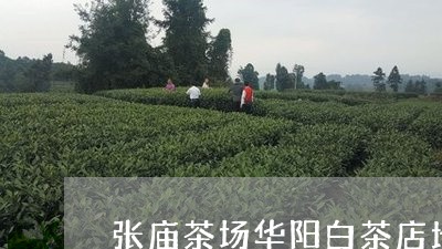 张庙茶场华阳白茶店地址/2023102570604