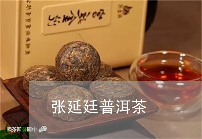 张延廷普洱茶/2023042747644