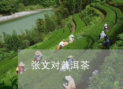 张文对普洱茶/2023042720742