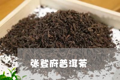 张登府普洱茶/2023042576355