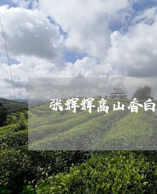 张辉辉高山香白茶/2023062152836