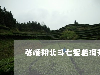 张顺翔北斗七星普洱茶/2023092603837