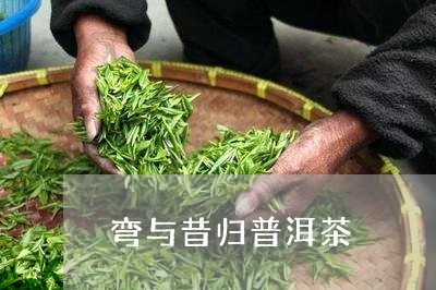 弯与昔归普洱茶/2023110329370