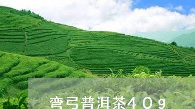 弯弓普洱茶40g/2023112640684