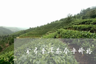 弯弓普洱茶今年价格/2023070859583