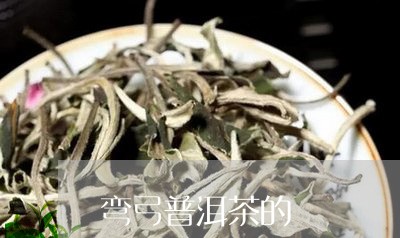 弯弓普洱茶的/2023042800533