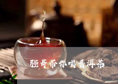 强哥带你喝普洱茶/2023101661736