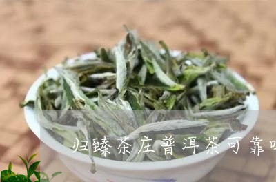 归臻茶庄普洱茶可靠吗/2023092865260