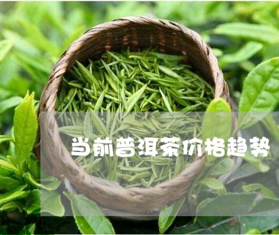 当前普洱茶价格趋势/2023091491514