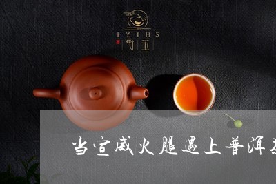 当宣威火腿遇上普洱茶/2023081669825