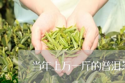 当年上万一斤的普洱茶/2023062200593