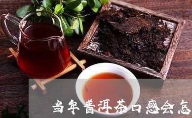 当年普洱茶口感会怎样/2023100603137