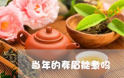 当年的寿眉能煮吗/2023090840595