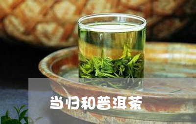 当归和普洱茶/2023042761461