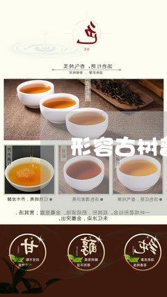 形容古树普洱熟茶条索/2023061373937