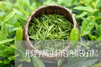 形容普洱茶熟茶好喝/2023091474939