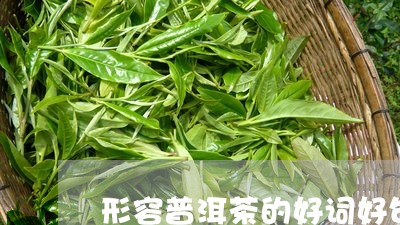 形容普洱茶的好词好句/2023062706037