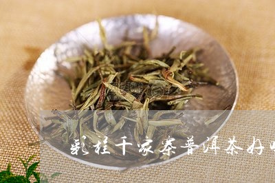 彩程千家寨普洱茶好吗/2023092751936