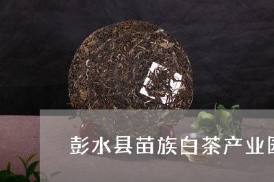 彭水县苗族白茶产业园区/2023102531794