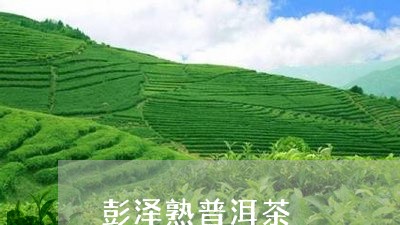 彭泽熟普洱茶/2023042643341