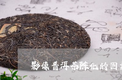 影像普洱茶陈化的因素/2023080295459