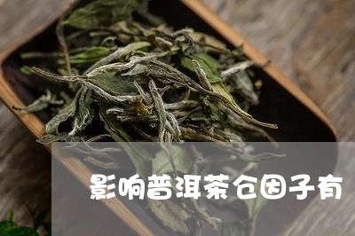 影响普洱茶仓因子有/2023062480795