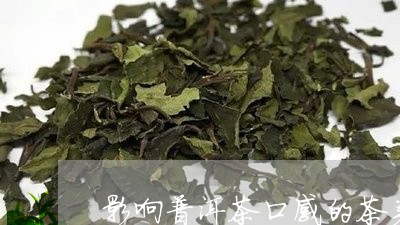 影响普洱茶口感的茶类有哪些/2023052902047