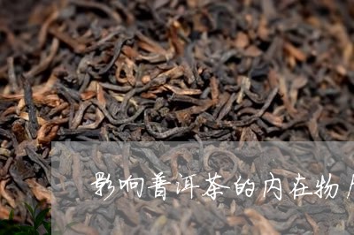 影响普洱茶的内在物质/2023080239473