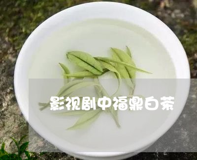 影视剧中福鼎白茶/2023062042603