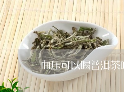 彽血压可以喝普洱茶吗/2023062047592