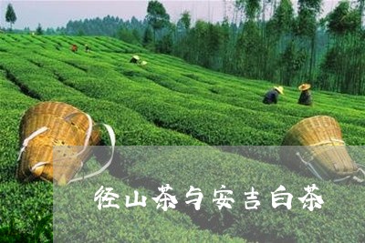 径山茶与安吉白茶/2023062058602