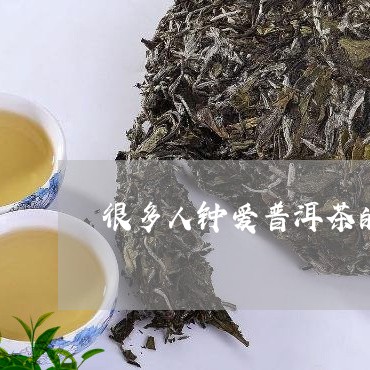 很多人钟爱普洱茶的原因/2023110164139