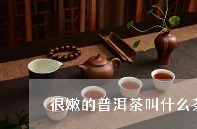 很嫩的普洱茶叫什么茶/2023112735250