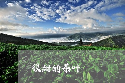 很甜的茶叶/2023090256958