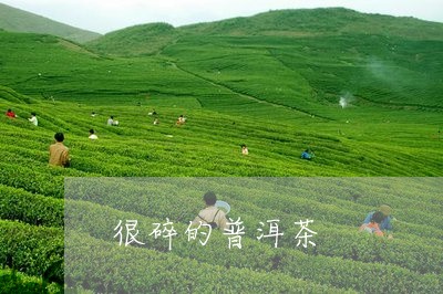 很碎的普洱茶/2023042927473