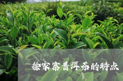 徐家寨普洱茶的特点/2023071147360