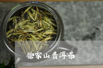 徐家山普洱茶/2023112640416