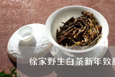 徐家野生白茶新年致辞/2023093098502