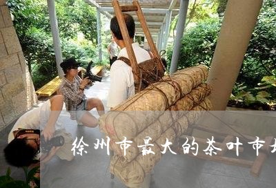 徐州市最大的茶叶市场/2023061121937