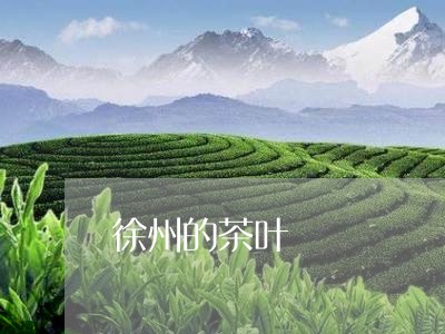 徐州的茶叶/2023041777019