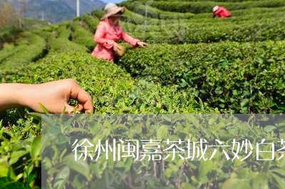 徐州闽嘉茶城六妙白茶/2023093012836