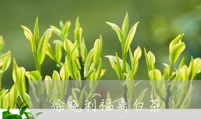 徐晓利福鼎白茶/2023082517380