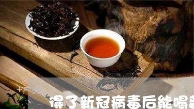 得了新冠病毒后能喝普洱茶吗/2023110280584