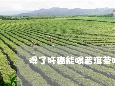 得了肝癌能喝普洱茶吗/2023061814947